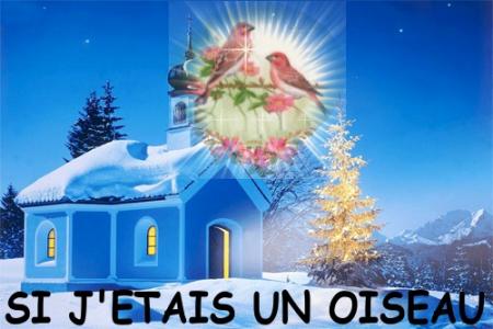 un oisaeu